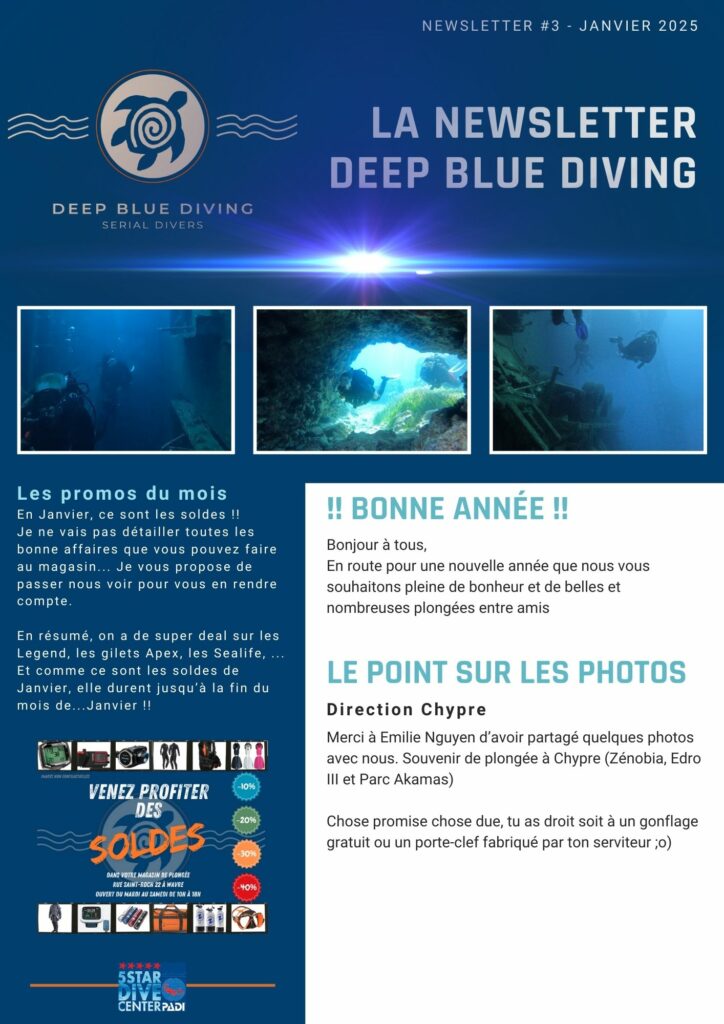 DBD Newsletter 01-2025