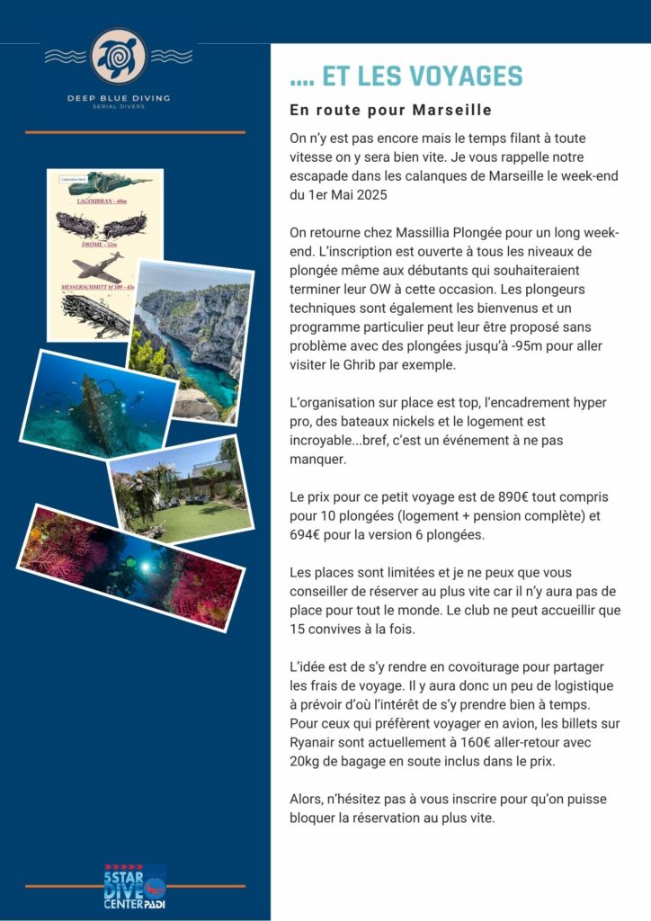 DBD Newsletter 01-2025