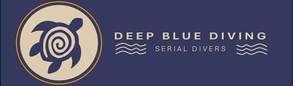 Deep Blue Wavre